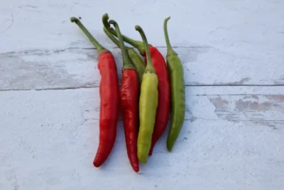 Sus Cin Colorful assortment of Sus Cin Turkish chili peppers