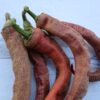 Five Vezena Piperka peppers on photography background with wood texture.