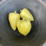 Three Somborka peppers placed in a pho bowl.