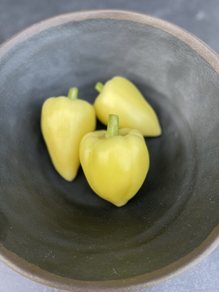 Hot Pepper Seeds, Somborka Three Somborka hot peppers placed in a pho bowl.