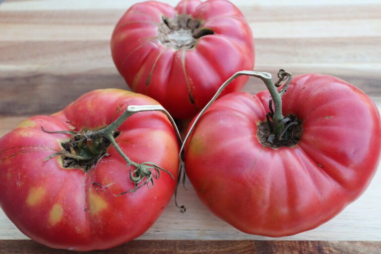 Tomato Seeds, Hafize Baliç Pink Three ripe Hafize Balic pink tomatoes on wood