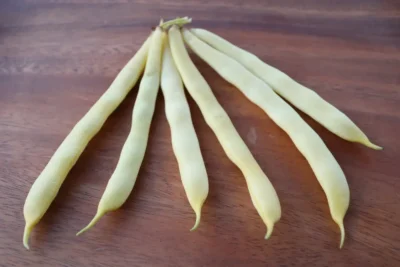 Hanimteni Hanimteni