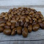 Green Bean Seeds, Sarıkız Bush