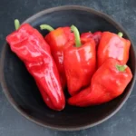 Hot Pepper Seeds, İsot