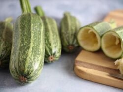 Four whole and one carved Kars Yemeklik summer squash fruits photographed on backdrop and cutting board.