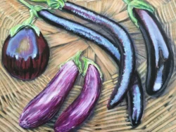 Turkish Eggplant