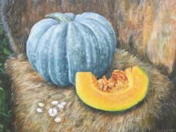 Winter Squash Seeds