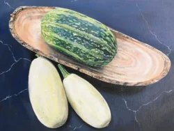 Turkish Squash