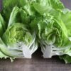 Lettuce Seeds, La Brillante