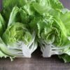 la brillante lettuce 1 La Brillante lettuce