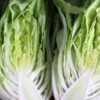 Les Oreilles du Diable2 Lettuce Seeds, Les Orielles du Diable
