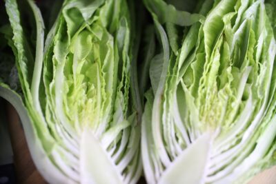 Les Oreilles du Diable2 Lettuce Seeds, Les Orielles du Diable