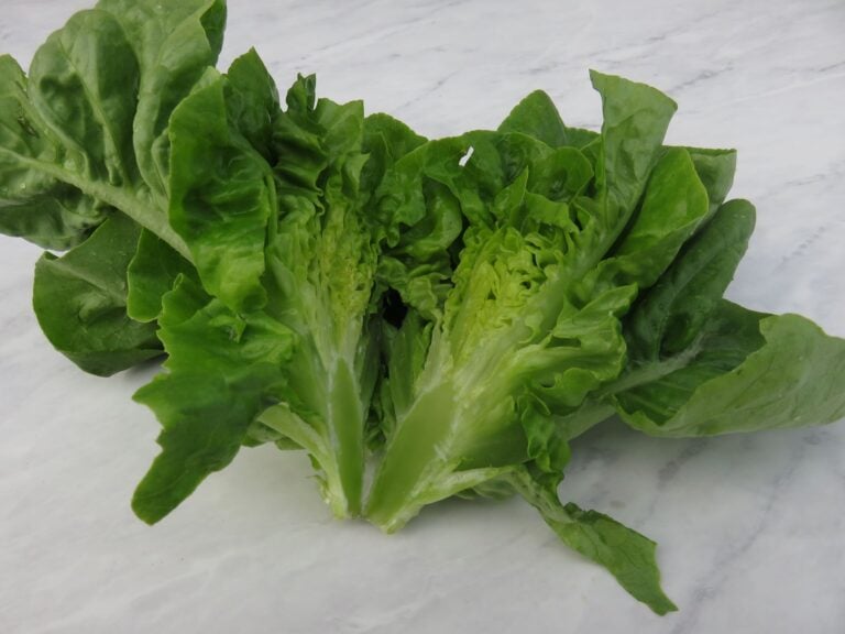 Lettuce Seeds, Little Gem Little Gem lettuce