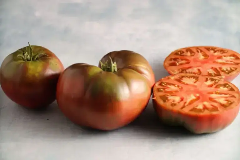 Tomato Seeds, Black Brandywine Black Brandywine tomatoes on photography backdrop