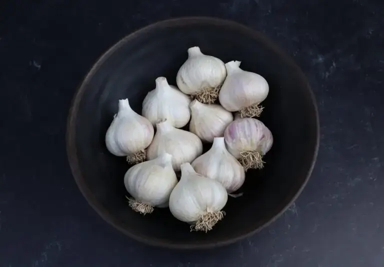 Garlic Bulbs, Music Hardneck (Porcelain) Music hardneck garlic bulbs in a bowl