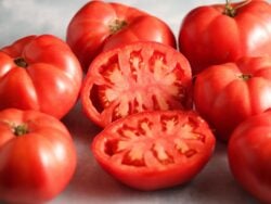 Tomato Seeds, Ege Pink 50