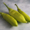Three Pestişori Ciorbagiu peppers photographed on photography backdrop with concrete texture.