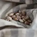 Empurme gree bean seeds photographed on a dish towel