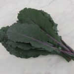 Dazzling Blue kale leaves photographed on photography background/