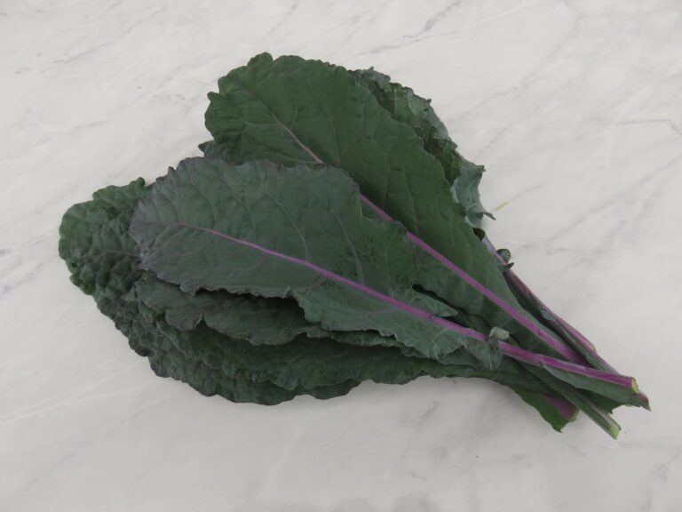 Kale Seeds, Dazzling Blue Dazzling Blue kale leaves photographed on photography background/