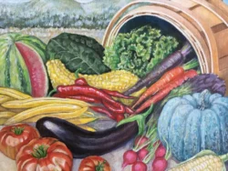 A generic illustration of various vegetables. Turkey Wide Leaf cress isn't in this illustration.
