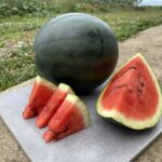 One cut and one whole Adana Black watermelon fruits photographed on concrete slab.