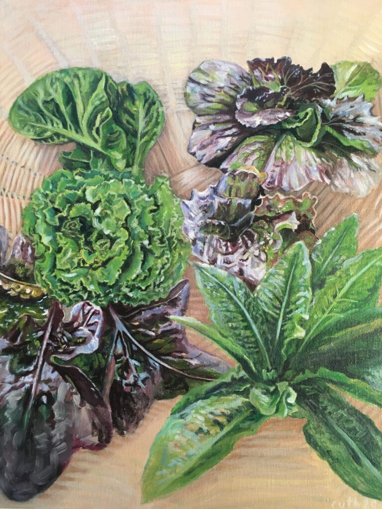 Lettuce mix illustration used to represent Red Iceberg lettuce.