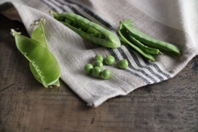 Sultani Pea1 Sultani pea seeds and pods pictured on washcloth and photography background.