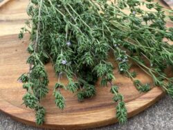 Savory Seeds