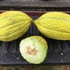 Two whole and one half of Turkish Sarı Dilim melons photographed on the bed of a farm truck.