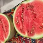 White-seeded Ayas watermelon cut in half and photographed on kitchen counter.