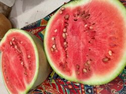 White-seeded Ayas2 White-seeded Ayas watermelon cut in half and photographed on kitchen counter.