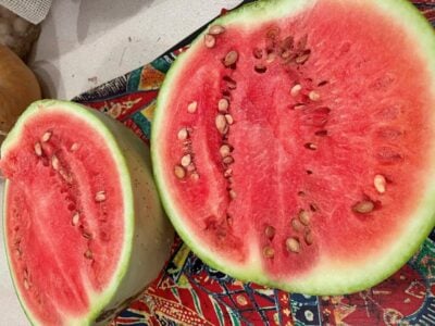 White-seeded Ayas2 White-seeded Ayas watermelon cut in half and photographed on kitchen counter.