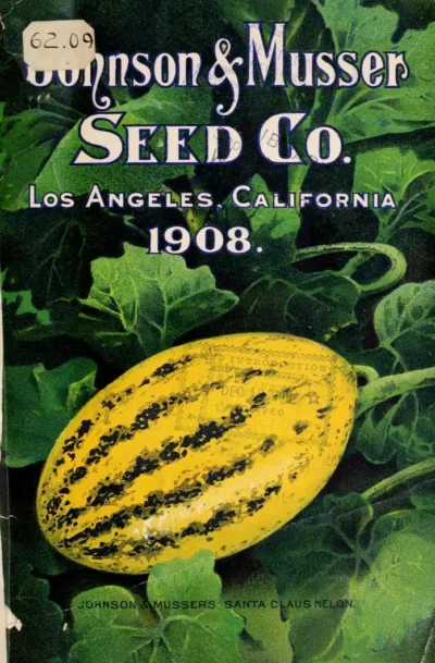 melon_illustration Melon Seeds, Kırkağaç 589
