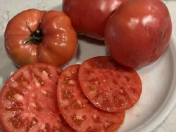 Sliced pink tomatoes in a plate
