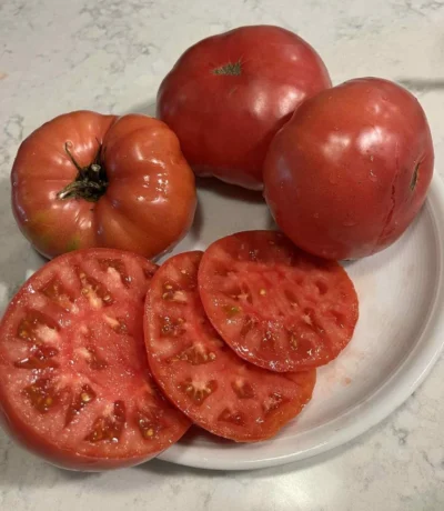 pink_tomato_brandywine_sliced Sliced pink tomatoes in a plate