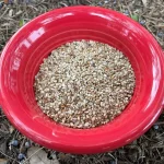 Sesame Seeds, Izmir White