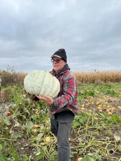 adapazari_squash_geyve_3_lr Farmer is holding a large fruit of Adapazari winter squash in field