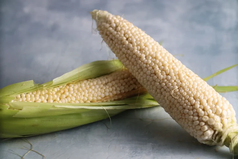 Two ears of fresh white Country Gentleman sweet corn