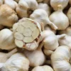 Fresh Silver Rose softneck garlic bulbs