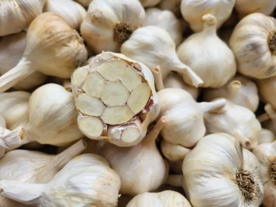 garlic_silverrose_softneck Fresh Silver Rose softneck garlic bulbs