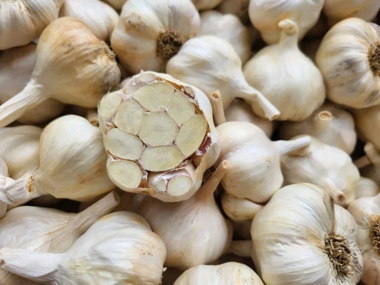 Garlic Bulbs, Silver Rose Softneck Fresh Silver Rose softneck garlic bulbs