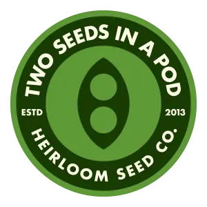 two seeds in a pod on cream 01 300x300 logo