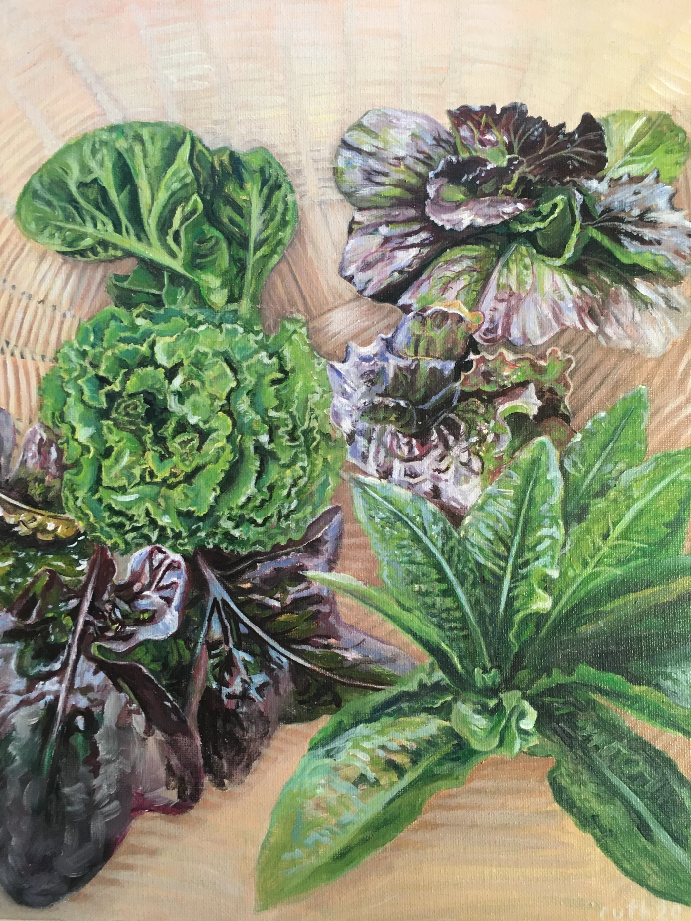 20% Off All Lettuce, Greens and Flower Seeds